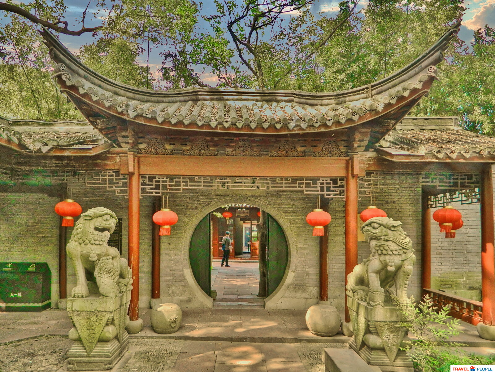   Tian Yi