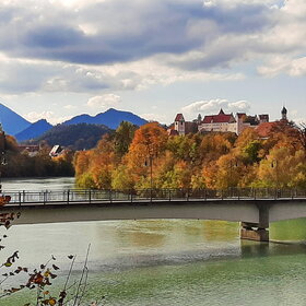 ���� ����� ���� ���